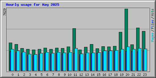 Hourly usage for May 2025