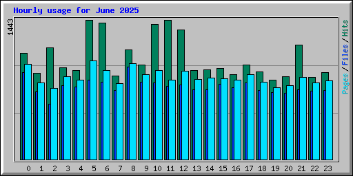 Hourly usage for June 2025