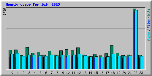 Hourly usage for July 2025